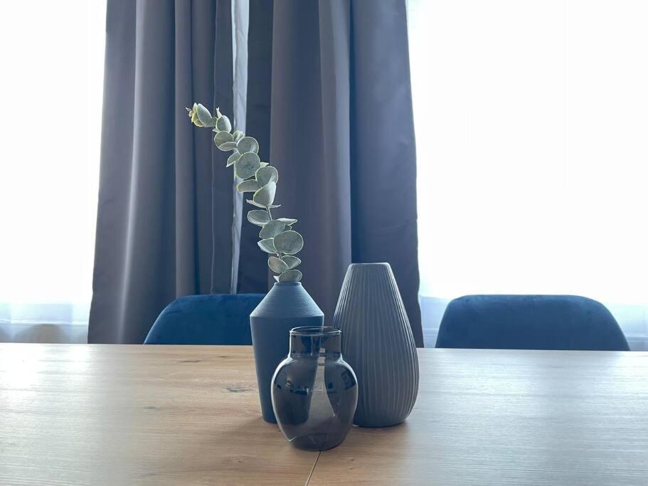 Lucky Stays Ls10 - Vollausstattung - Zentrum - Aufzug - Grosse Kueche - 2 Zimmer - Smart-Tv Magdeburg Eksteriør bilde