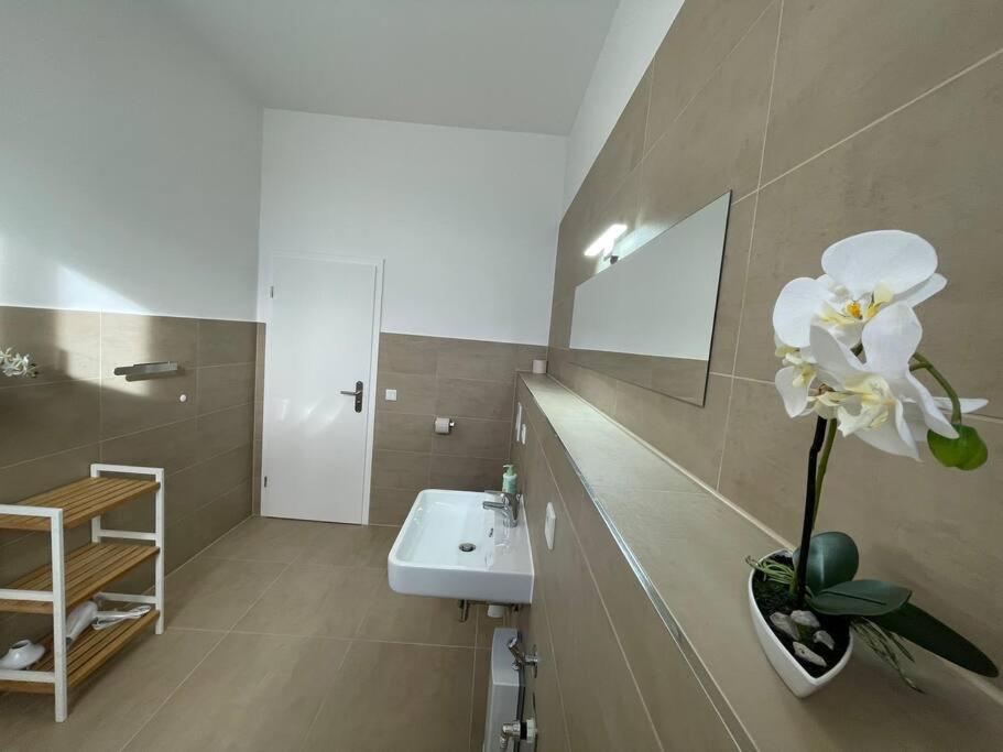 Lucky Stays Ls10 - Vollausstattung - Zentrum - Aufzug - Grosse Kueche - 2 Zimmer - Smart-Tv Magdeburg Eksteriør bilde